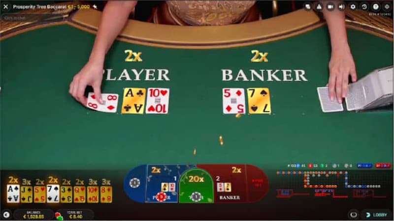 Những thuật ngữ cơ bản trong Baccarat tại Net88