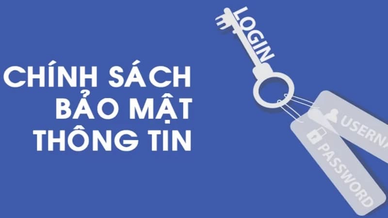 Các loại thông tin được thu thập