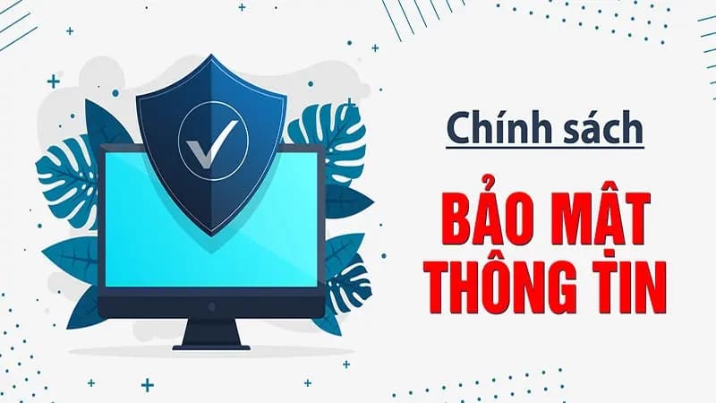 Quyền lợi và trách nhiệm của người dùng